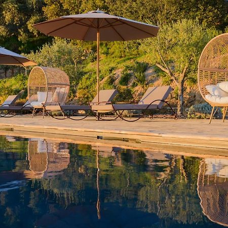 Terre De Maquis, Maison D'Hotes Vue Mer Corse Sari-D'orcino Eksteriør billede