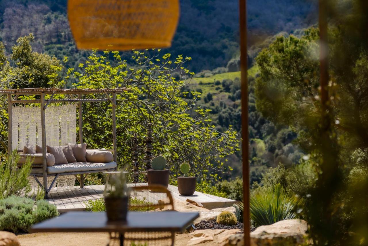 Terre De Maquis, Maison D'Hotes Vue Mer Corse Sari-D'orcino Eksteriør billede