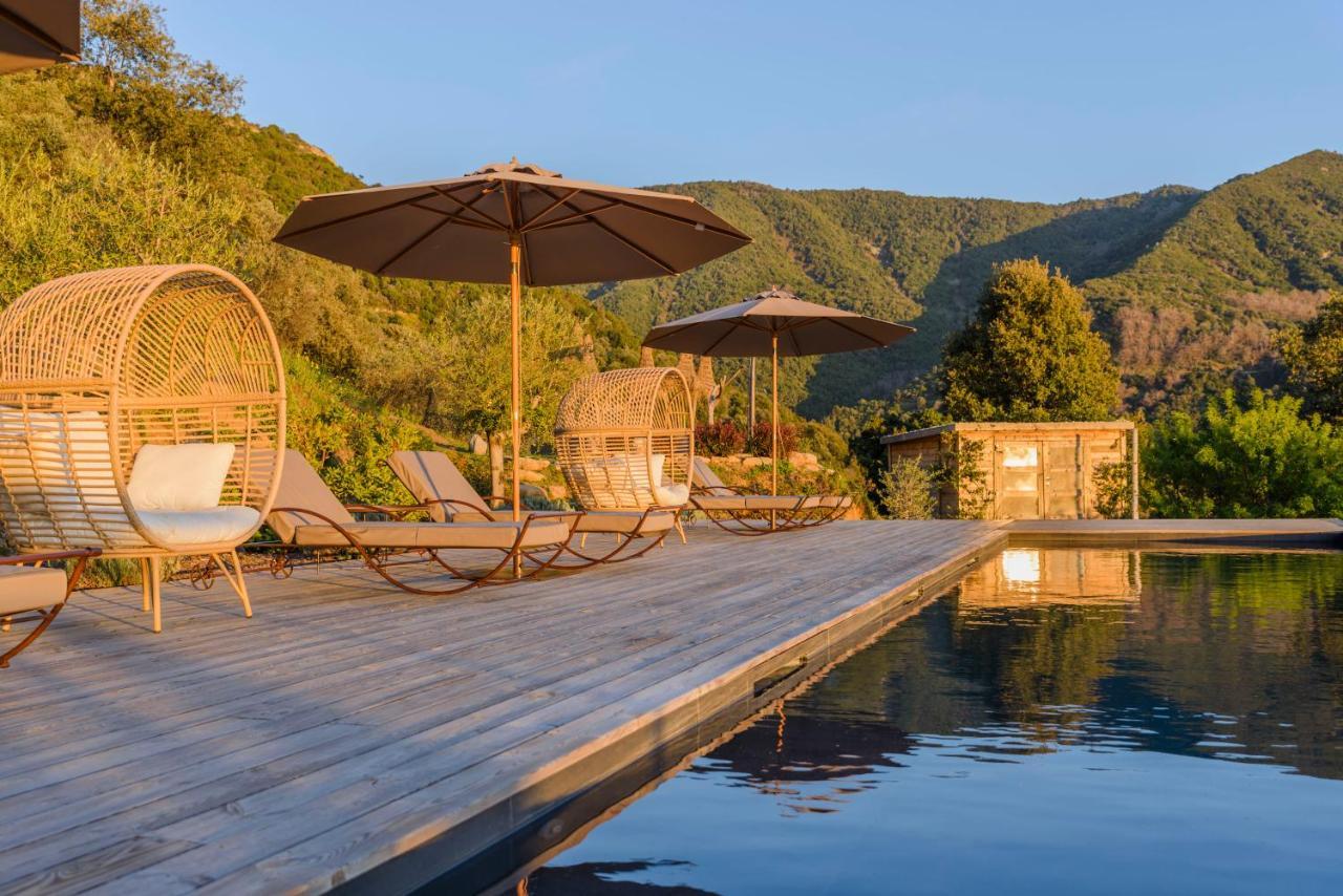 Terre De Maquis, Maison D'Hotes Vue Mer Corse Sari-D'orcino Eksteriør billede