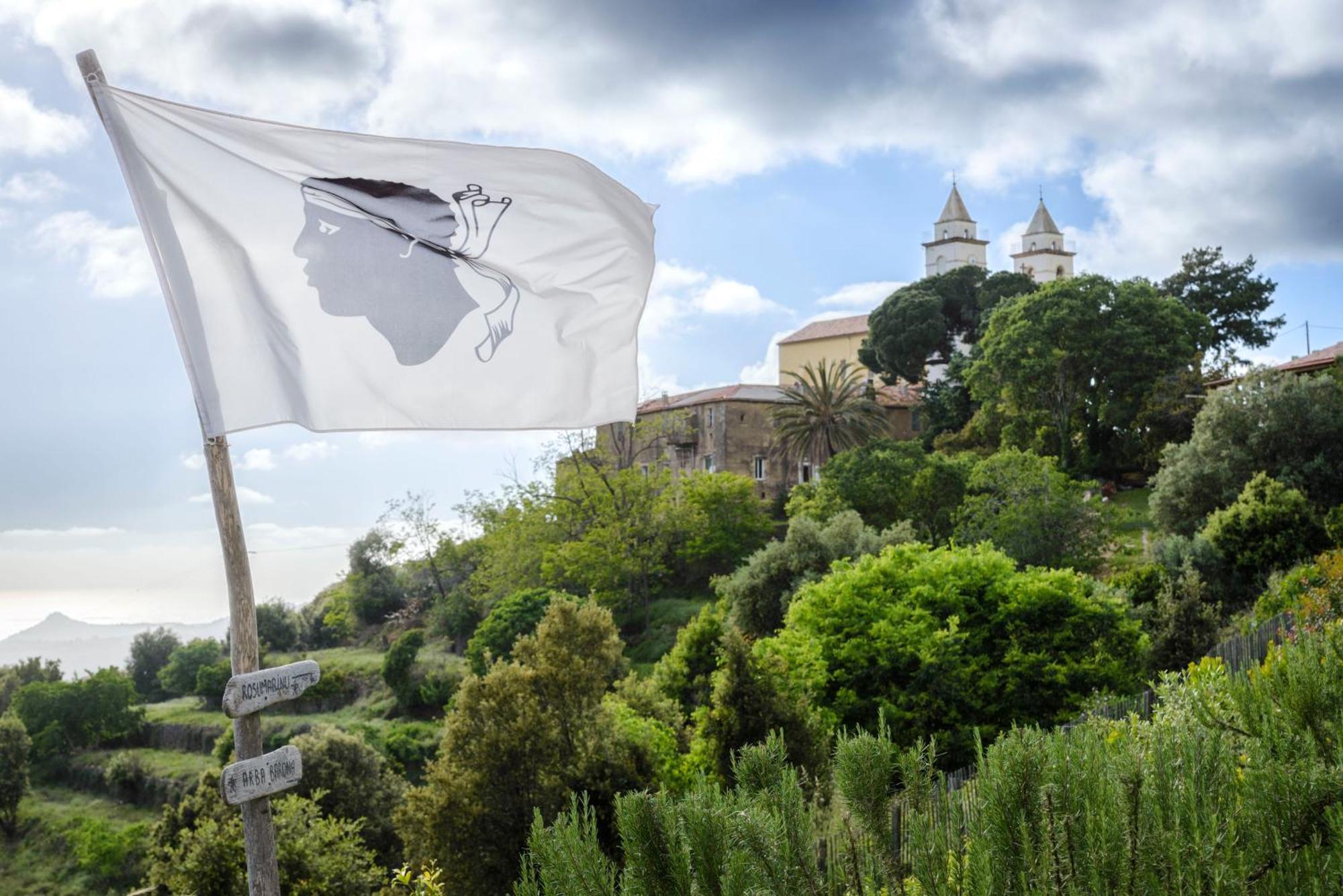 Terre De Maquis, Maison D'Hotes Vue Mer Corse Sari-D'orcino Eksteriør billede